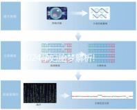 2024孕婦胎夢解析!盤點(diǎn)那些生男孩的胎夢