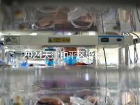 2024天津和平區(qū)婚檢預(yù)約并不難!最重要的是找到免費醫(yī)院!