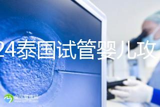 2024泰國試管嬰兒攻略索引:供卵,禁止且違法