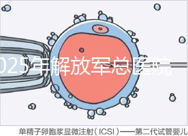2025年解放軍總醫(yī)院第七醫(yī)學中心做試管嬰兒的費用明細,現(xiàn)在做試管多少錢?