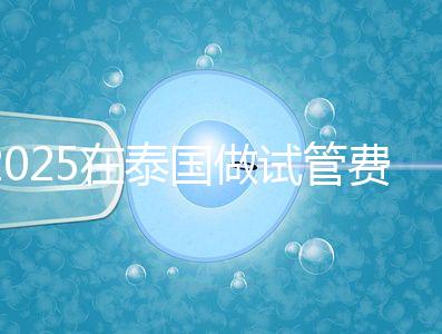 2025在泰國做試管費用預估，助孕一次不到10萬