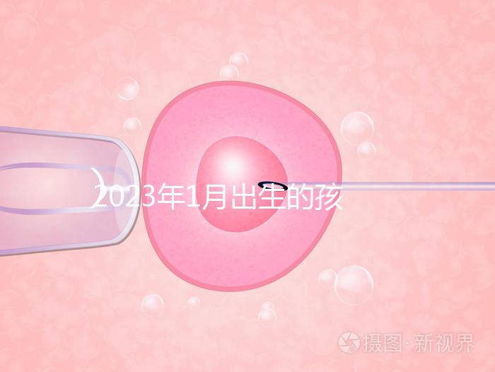 2023年1月出生的孩子取名宜忌要早知，星座、屬相均有講究