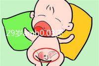 29歲amh0.03還能做試管嬰兒嗎?能否取到卵是懷孕關鍵