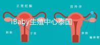 iBaby生殖中心泰國(guó)地理位置