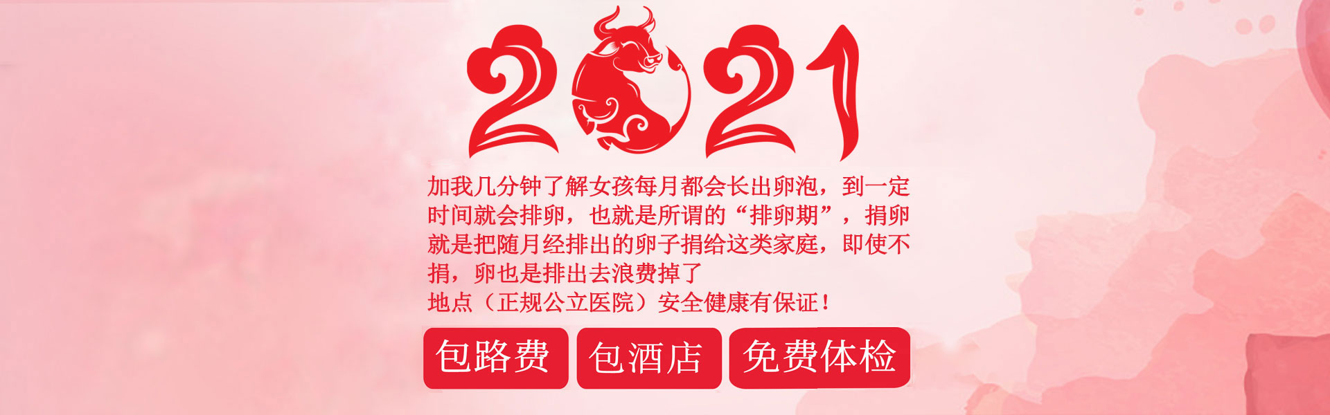 內(nèi)容頁橫幅